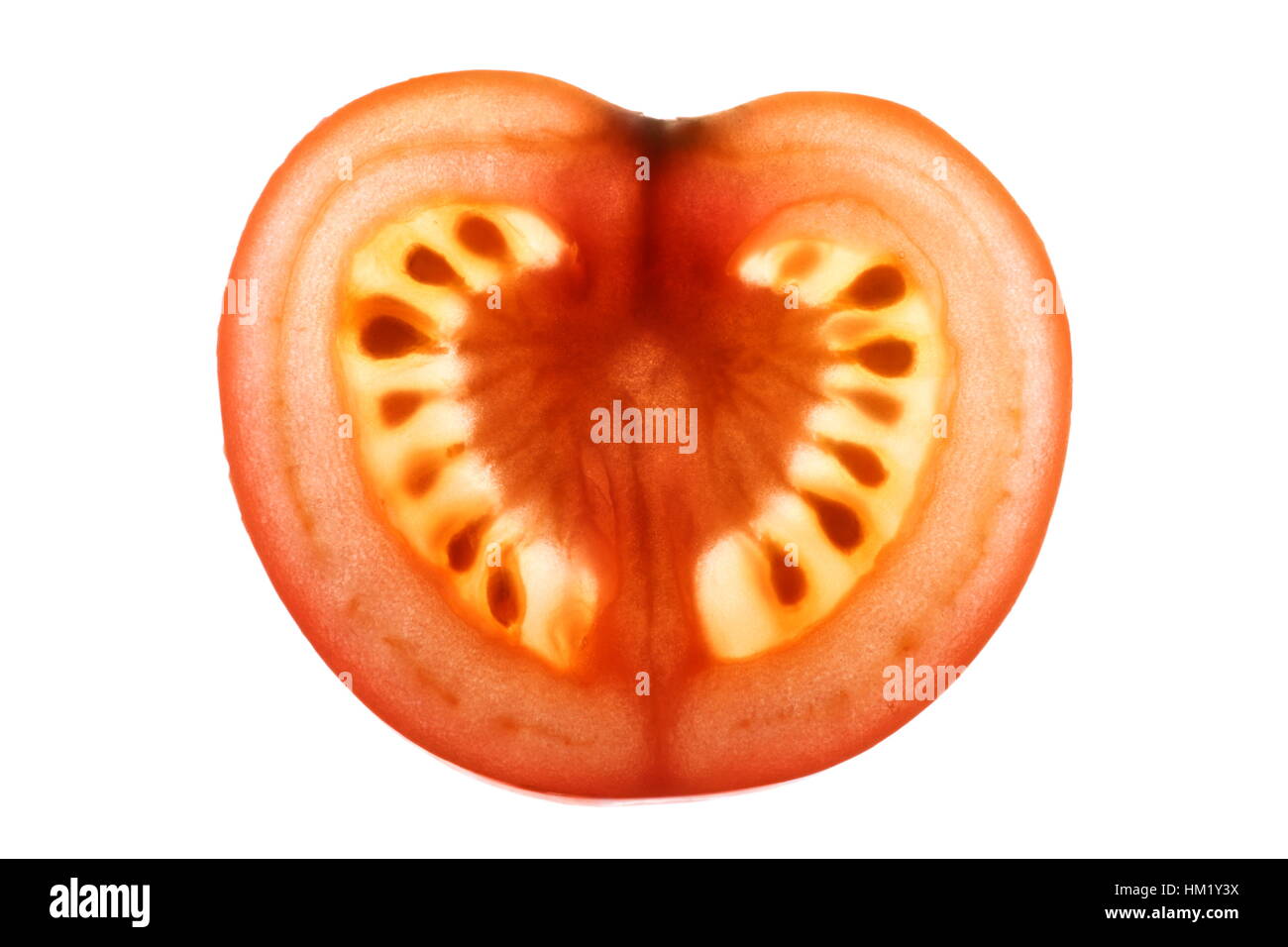 Fetta di pomodoro retroilluminato mostra intricati dettagli . Foto Stock
