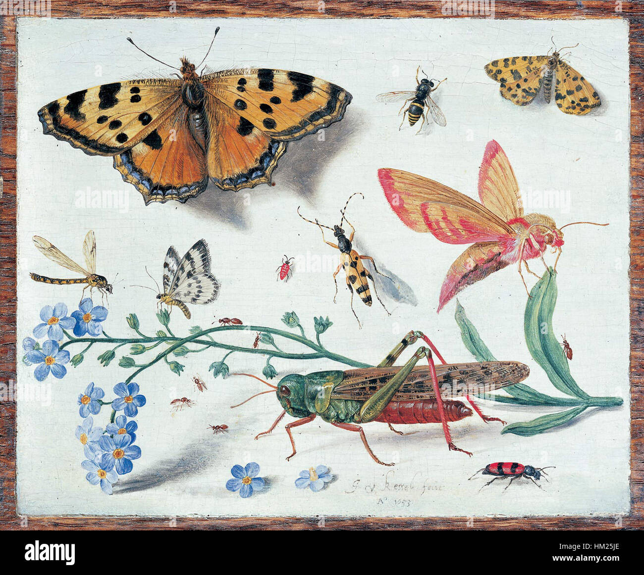 Il dipinto di Jan van Kessel, che probabilmente raffigura scene intricate della natura o di soggetti allegorici, riflette la sua maestria nel catturare i dettagli fini della flora e della fauna. Noto per i suoi studi dettagliati su insetti, fiori e animali, questo lavoro mostra il preciso naturalismo di van Kessel. Foto Stock