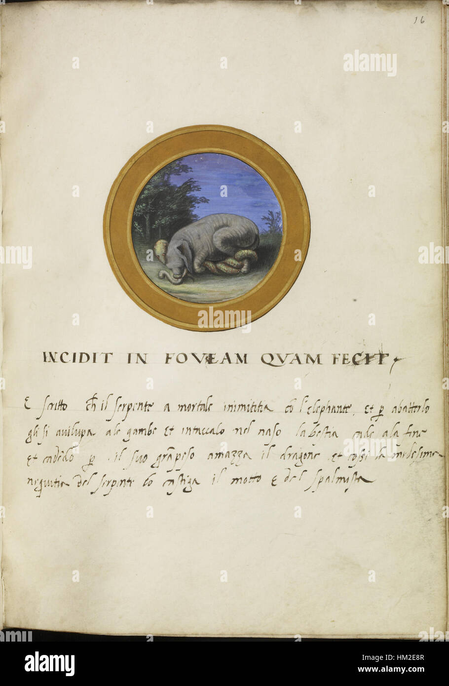 Questa emblematica foglia, parte di un libro di emblemi italiani, mostra intricate rappresentazioni simboliche. I libri di emblemi erano popolari durante il Rinascimento, combinando elementi visivi con temi morali o filosofici. Questa particolare foglia mostra la maestria artigianale degli incisori italiani. Foto Stock