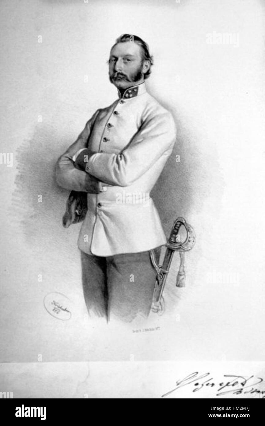 Questa litografia di Leopold Glaserfeld cattura un paesaggio drammatico, evidenziando il suo stile unico e la sua maestria nella stampa. Glaserfeld era noto per le sue rappresentazioni espressive della natura e per le sue composizioni potenti. Foto Stock