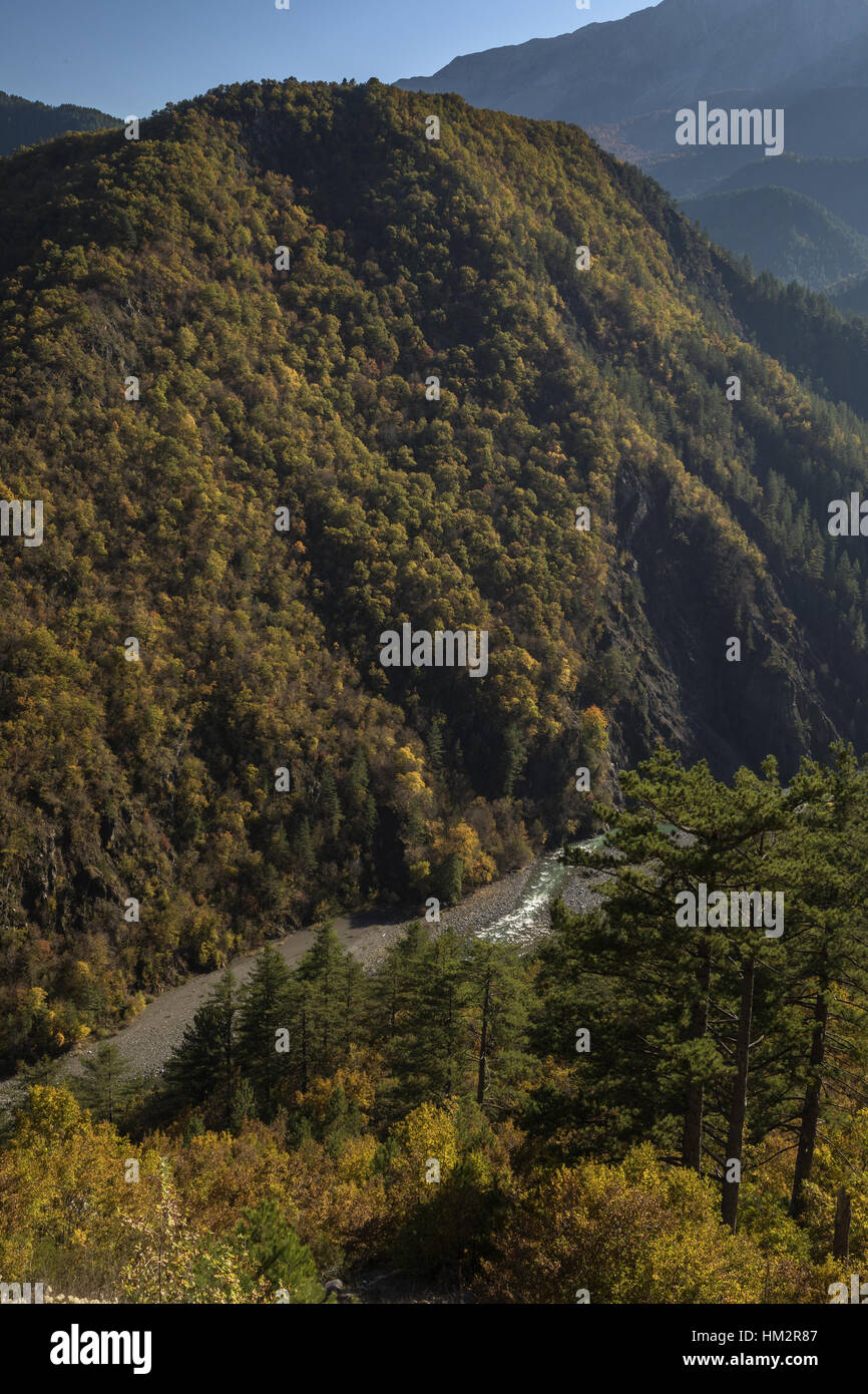 Delle montagne boscose in autunno in alto Aoos Gorge, Vikos-Aoos National Park, Grecia del nord. Foto Stock