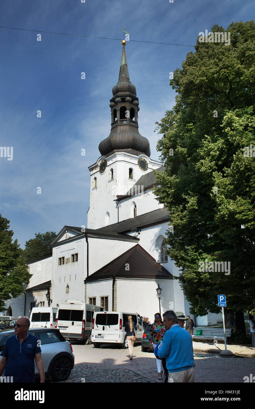 Cattedrale di Saint Mary, Tallinn, Estonia Foto Stock
