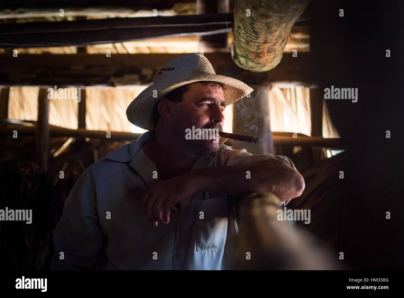 Il tabacco cubano agricoltore fuma sigaro in fienile di essiccazione, guardando a colture Foto Stock