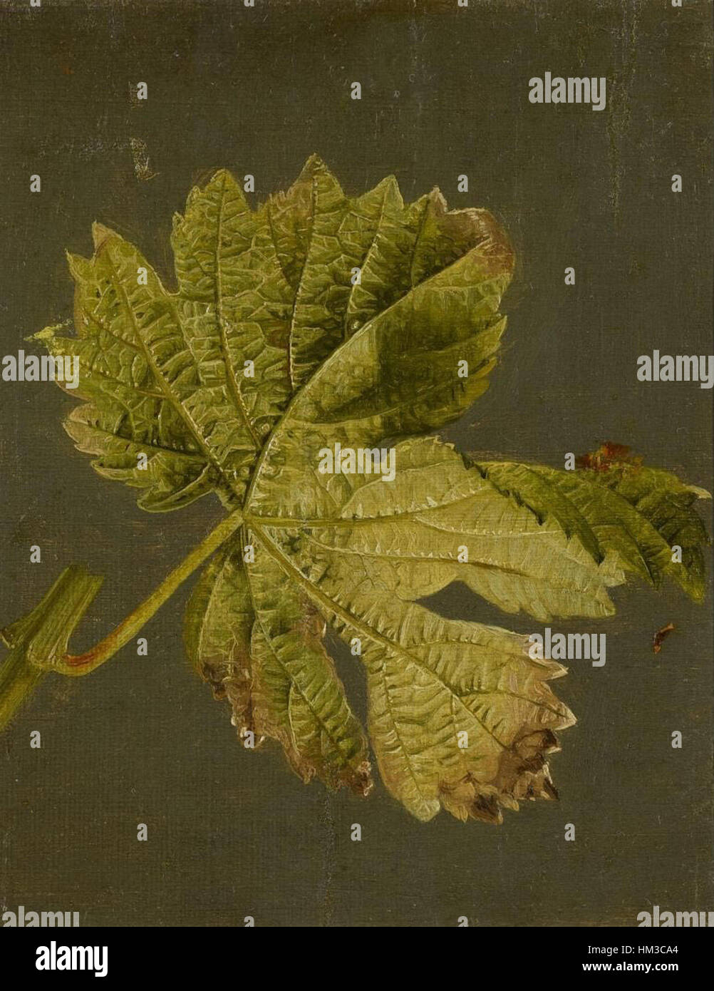 "Weinblatt" di Johann Wilhelm Preyer è un dipinto di natura morta che mostra la sua abilità nel rappresentare oggetti di uso quotidiano con particolare attenzione al realismo. L'opera presenta una foglia di vino, che riflette l'esperienza di Preyer nella cattura di elementi naturali. Foto Stock