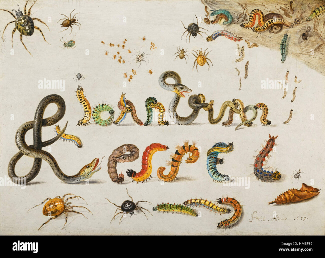 Questa natura morta di Jan van Kessel presenta una collezione di ragni, serpenti d'erba e caterpillars, intrecciati in modo intricato per formare il nome dell'artista. Il lavoro mette in mostra la maestria di van Kessel nel rendere la natura con dettagli incredibili. Foto Stock