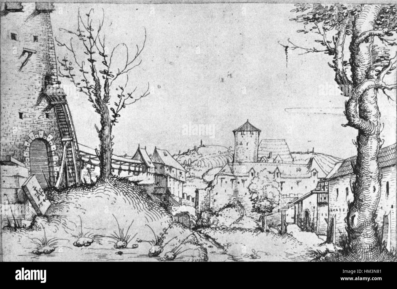L'Hirschvogel Burg del 1546 è una dettagliata rappresentazione di un castello tedesco. L'opera cattura la grandezza architettonica e le caratteristiche difensive del castello, rappresentando il significato militare e culturale del periodo in Germania. Foto Stock