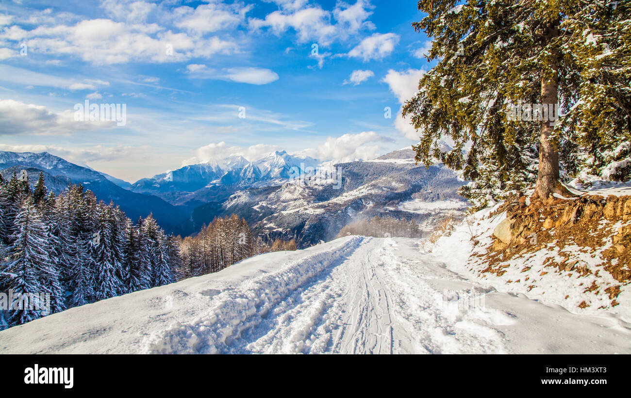 Un bellissimo paesaggio invernale Foto Stock