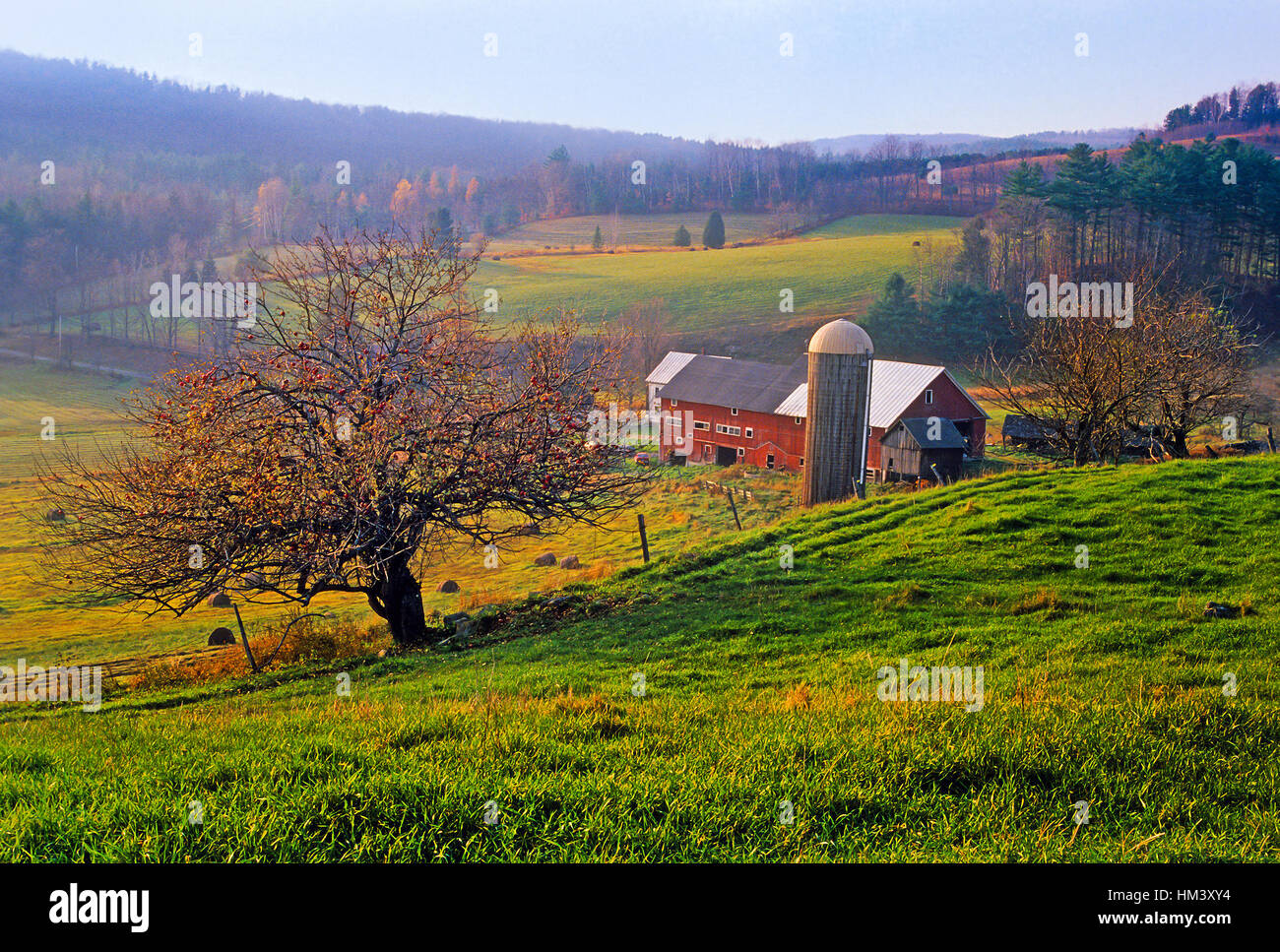 I campi agricoli con un granaio rosso, silo e alberi di mele nelle zone rurali del Vermont, USA. Foto Stock