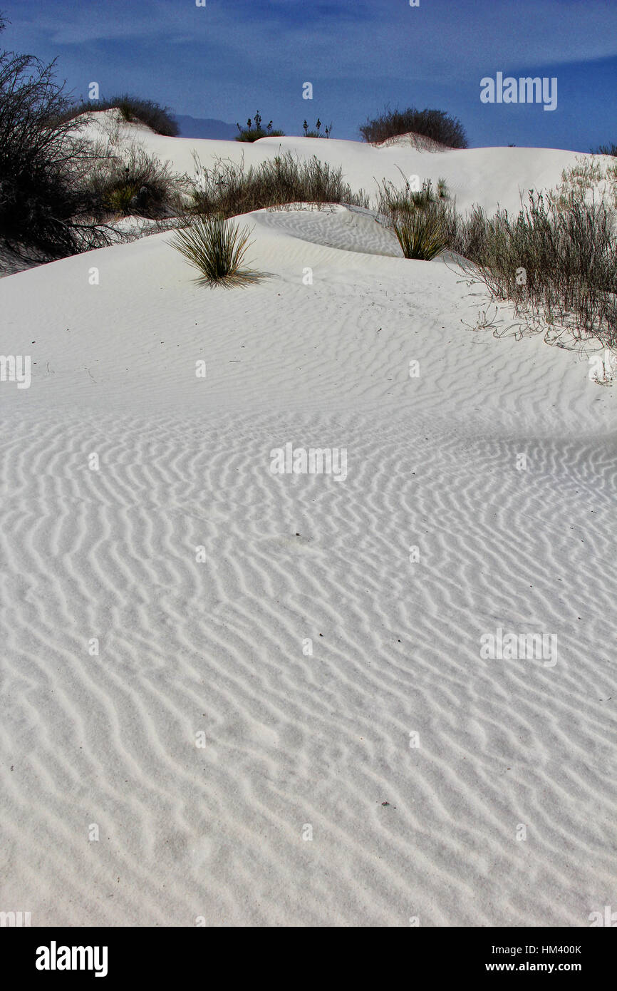 Il vento scolpisce linee in gesso dune a White Sands National Monument, il più grande del mondo di gesso dunefield. Foto Stock