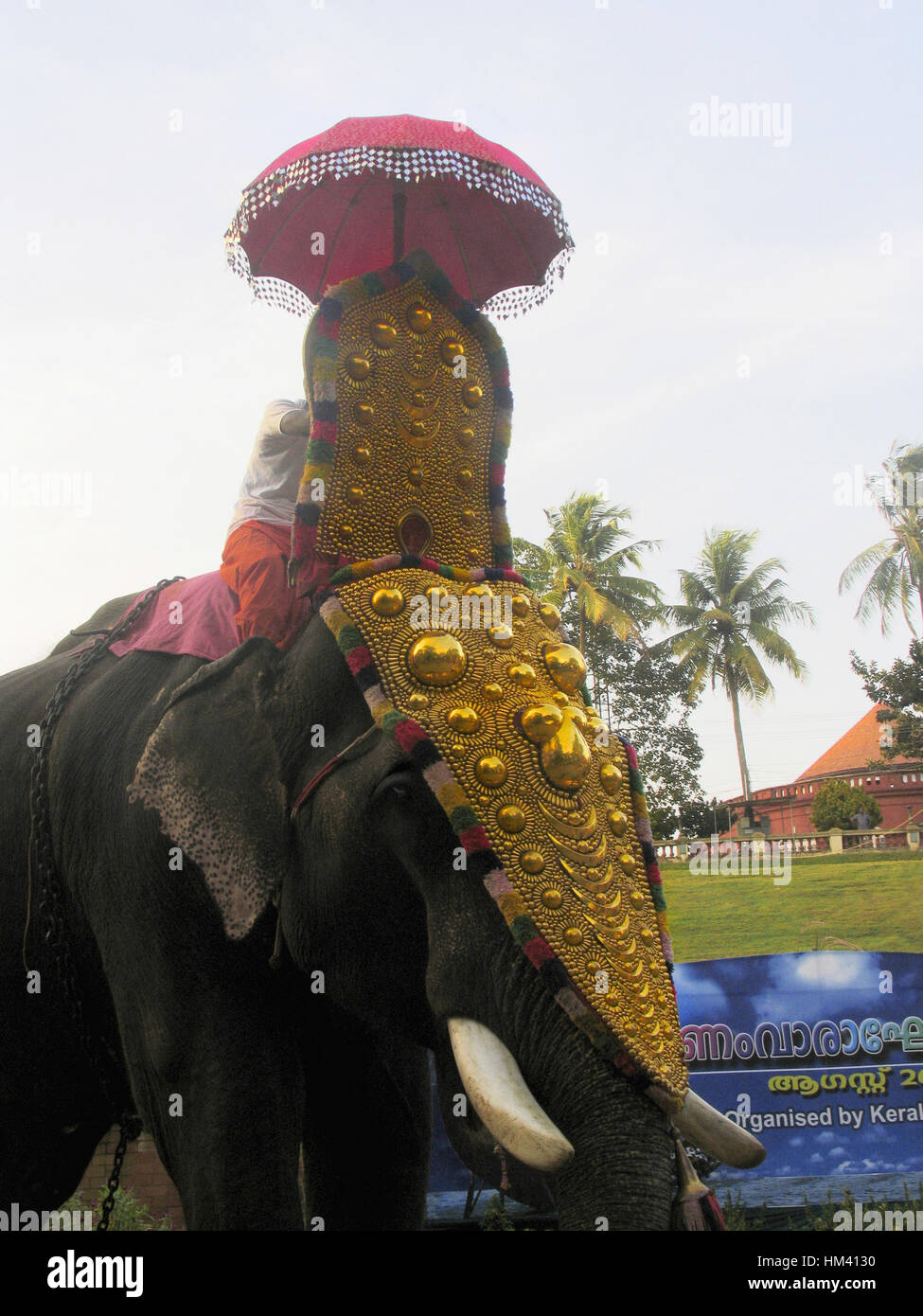 Decorate elefante di onam festival. Trivandrum , Kerala, India Foto Stock