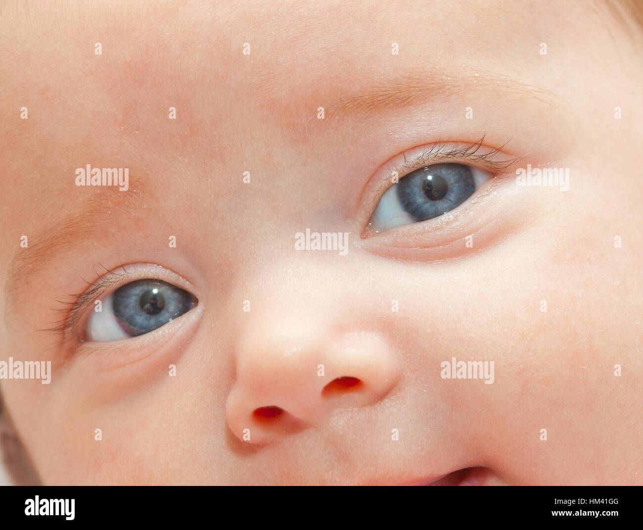 Gli occhi blu closeup del neonato ragazza. Foto Stock