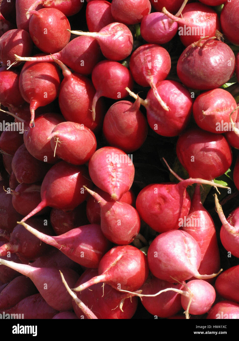 Il Ravanello di vegetali. Maharasthra, India. Il rafano è una radice commestibili ortaggi della famiglia Brassicaceae che è stato addomesticato in Europa in epoca pre-romana t Foto Stock