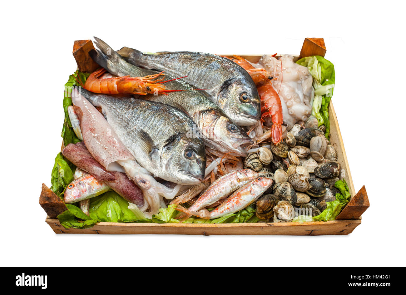 Scatola di pesce fresco e le vongole isolati su sfondo bianco. Foto Stock