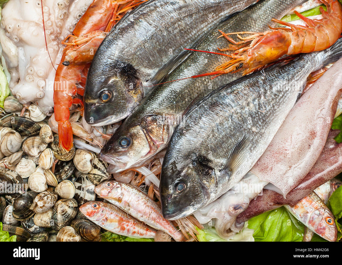 I diversi tipi di pesce fresco e le vongole, frutti di mare sullo sfondo. Foto Stock