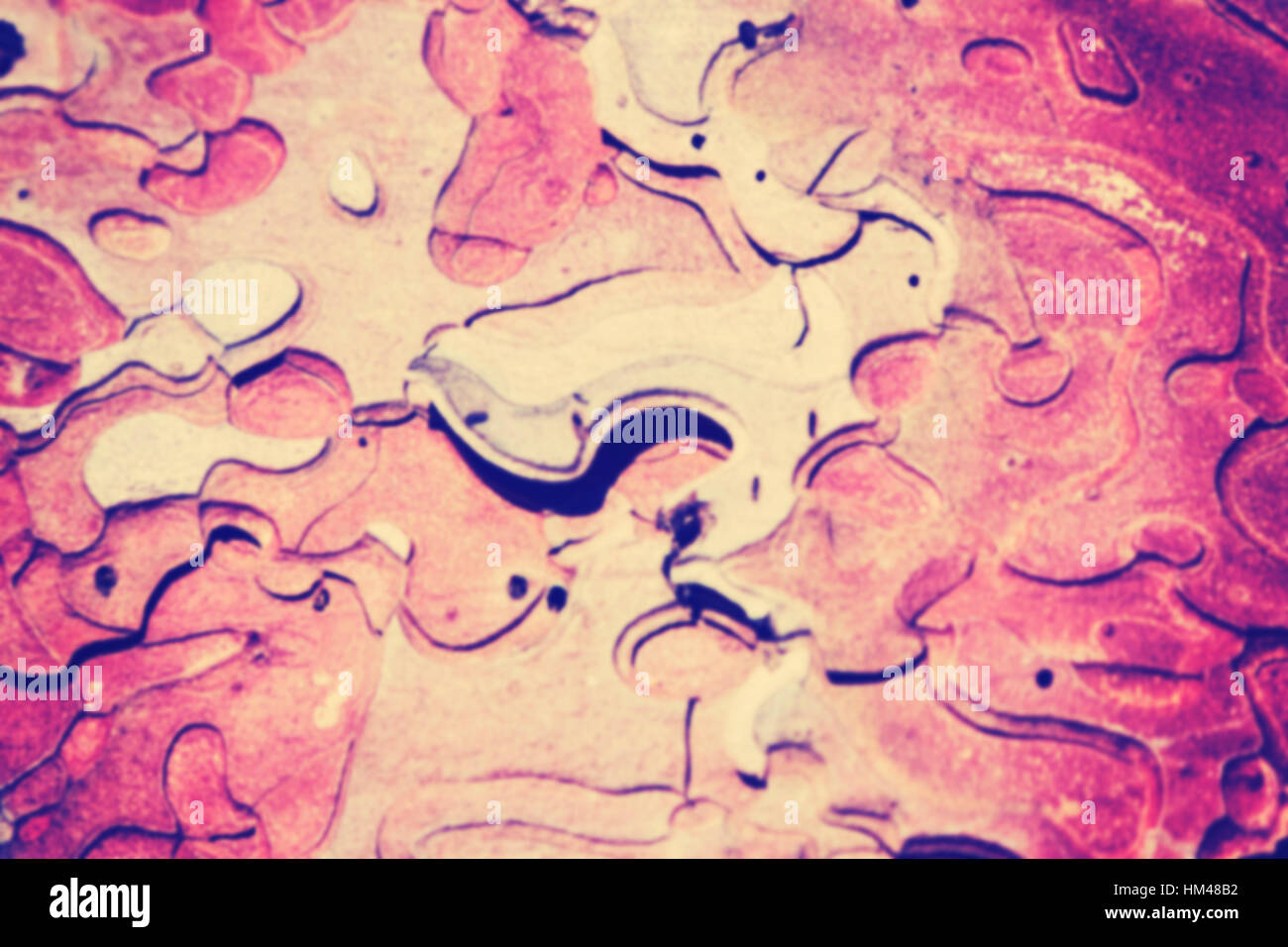 Tonalità di colore sfumato sfondo astratta fatta di corteccia di albero. Foto Stock