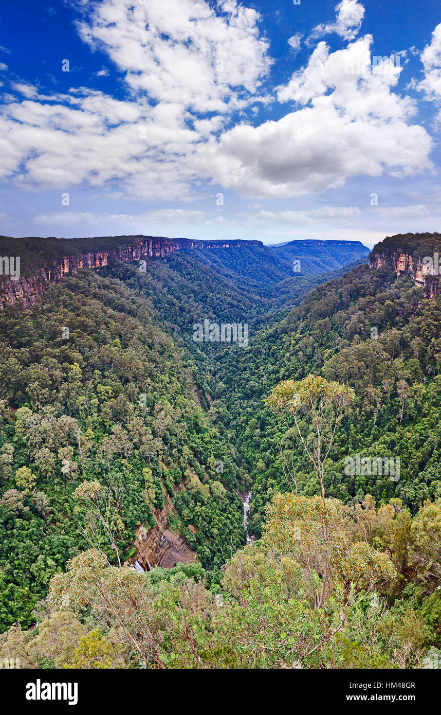 Vista verticale lungo la valle Yarrunga Morton nel parco nazionale del Gran Catena Divisoria in Australia. Foreste sempreverdi coprire valley bed e rock i lati co Foto Stock