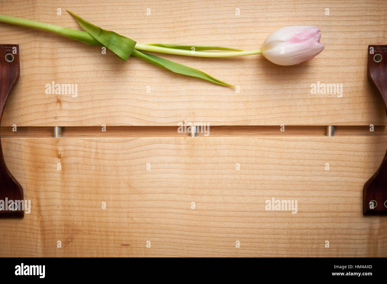 Svuotare il vassoio di legno con un fiore e lo spazio per il testo Foto Stock