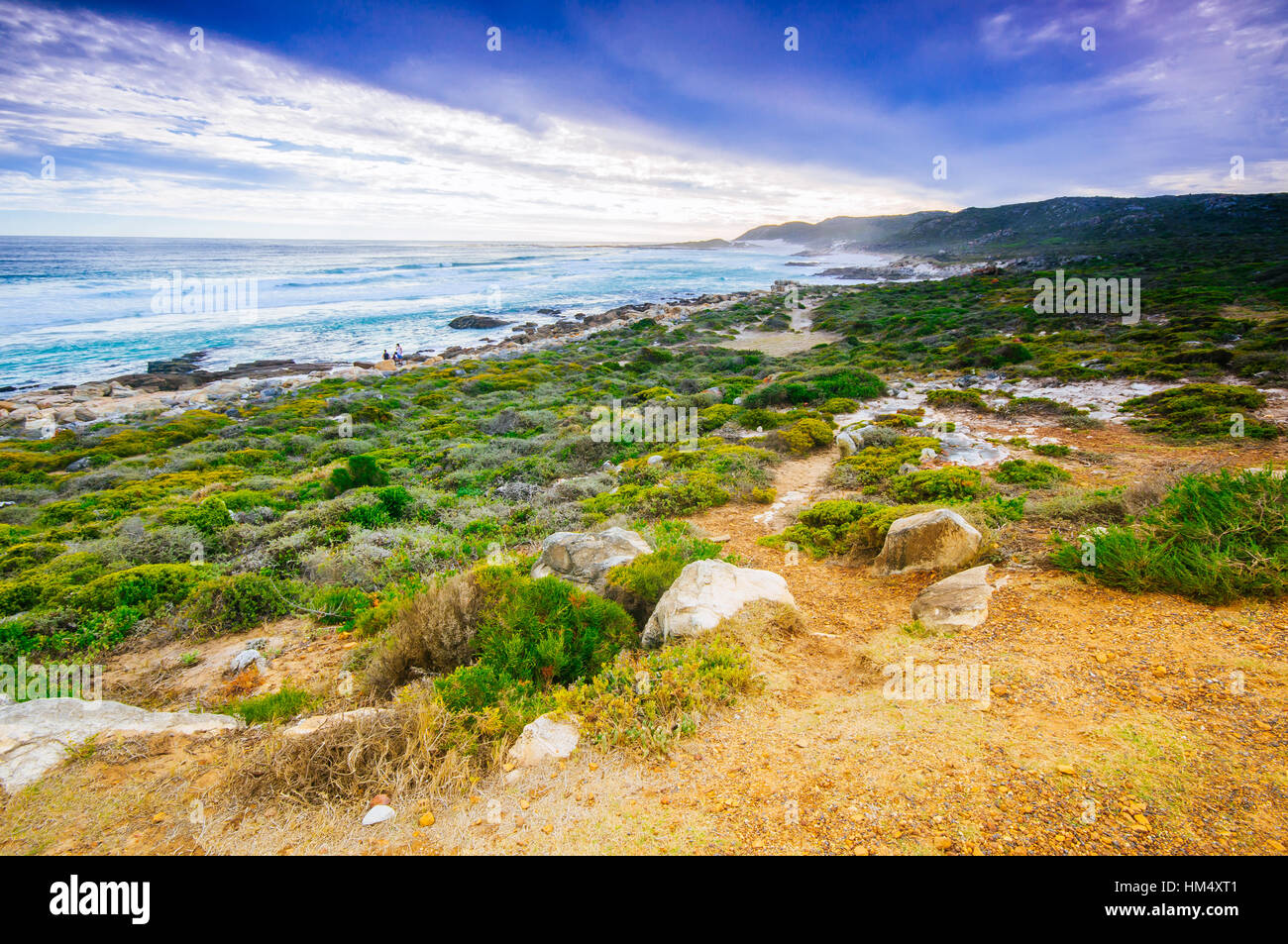 Deserto presso il Capo di Buona Speranza della riserva naturale parco, Cape Town, Sud Africa Foto Stock