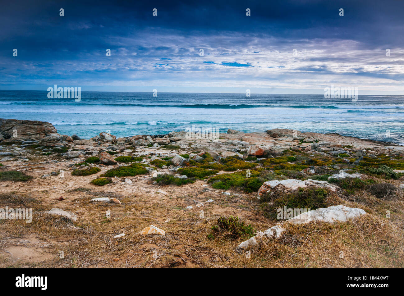 Deserto presso il Capo di Buona Speranza della riserva naturale parco, Cape Town, Sud Africa Foto Stock