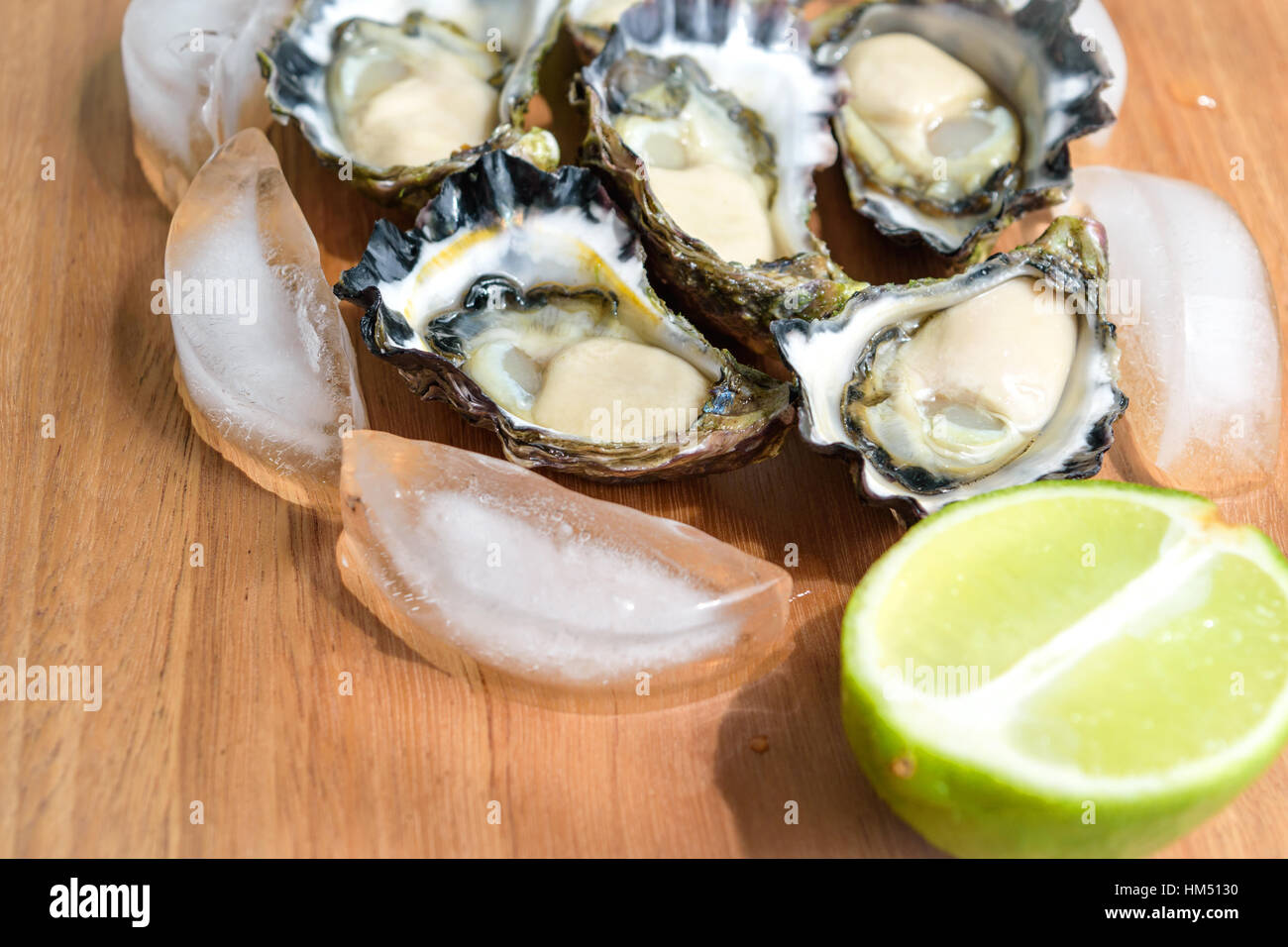 Appena sgusciati Sydney Rock Oyster Foto Stock