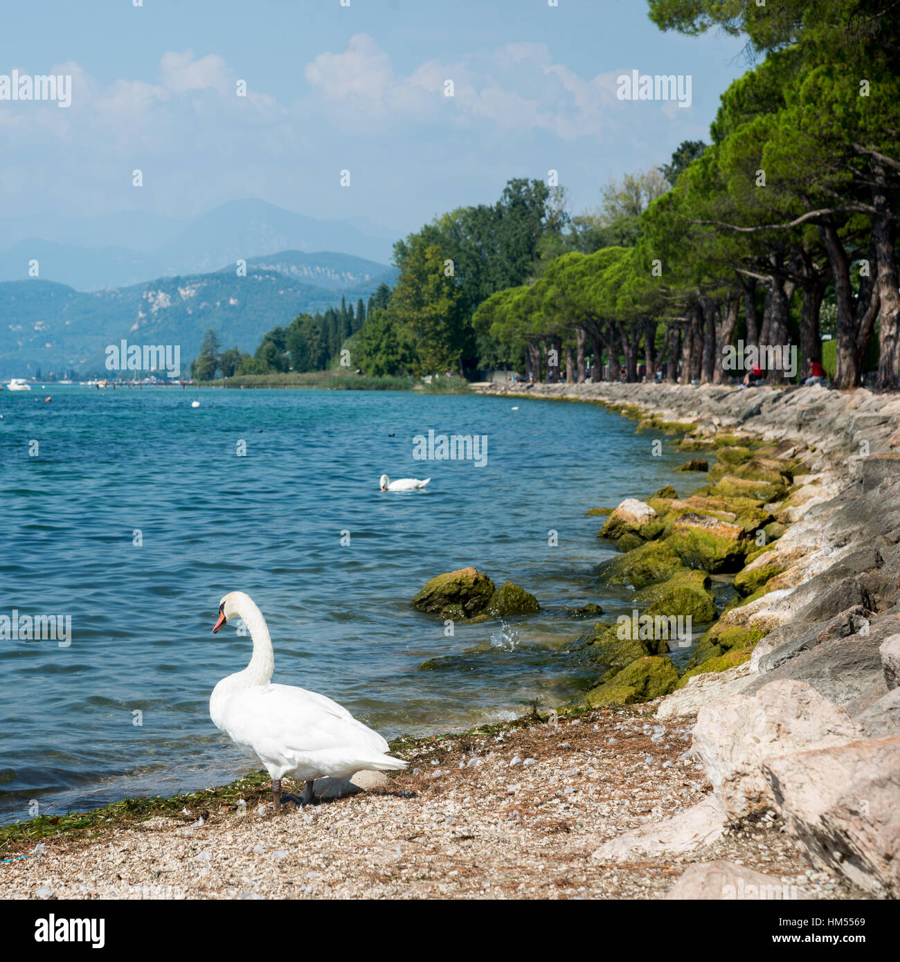 Lago di Garda Foto Stock