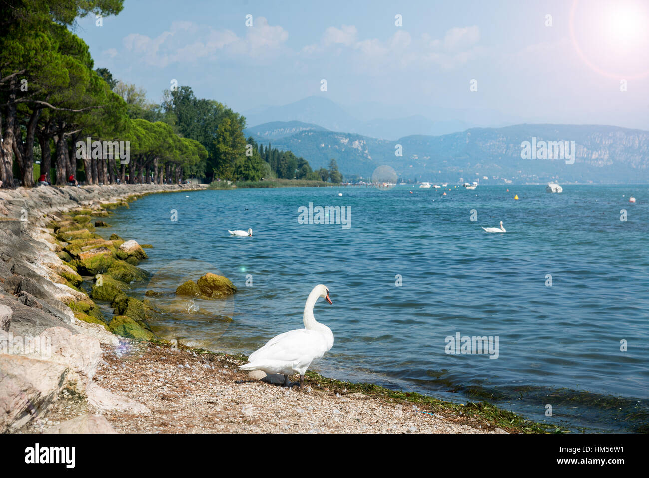 Lago di Garda Foto Stock