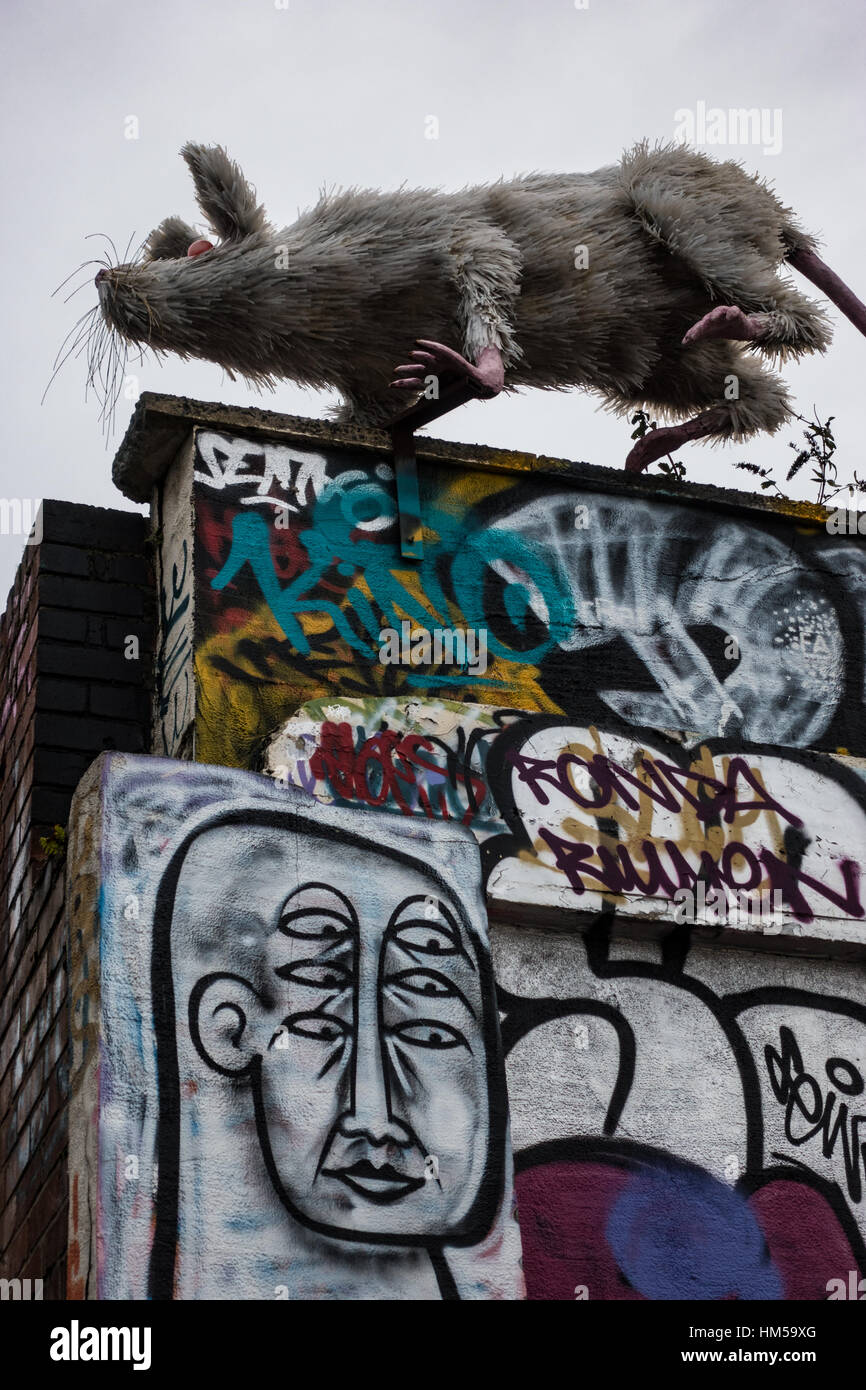 Arte di strada nel Baltic Triangle, Liverpool Foto Stock