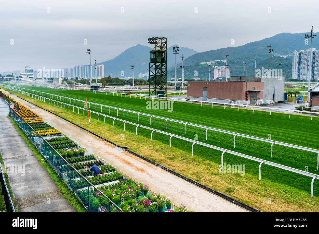 Sha Tin Racecourse in Hong Kong Foto Stock