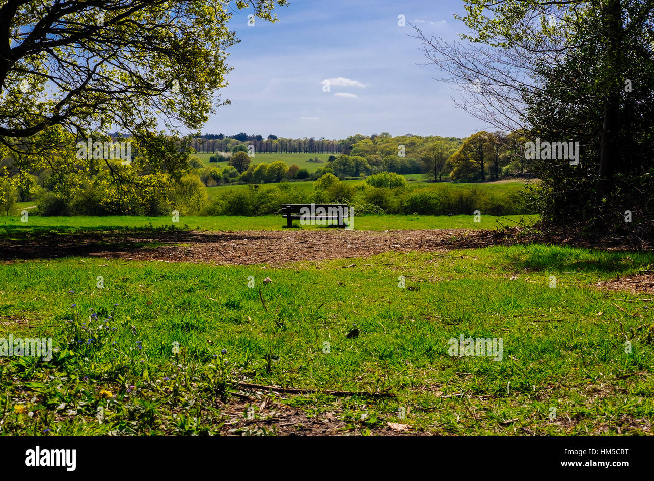 Una solitaria panchina guardando ad ovest sopra Trento Country Park a Enfield, Nord di Londra Foto Stock