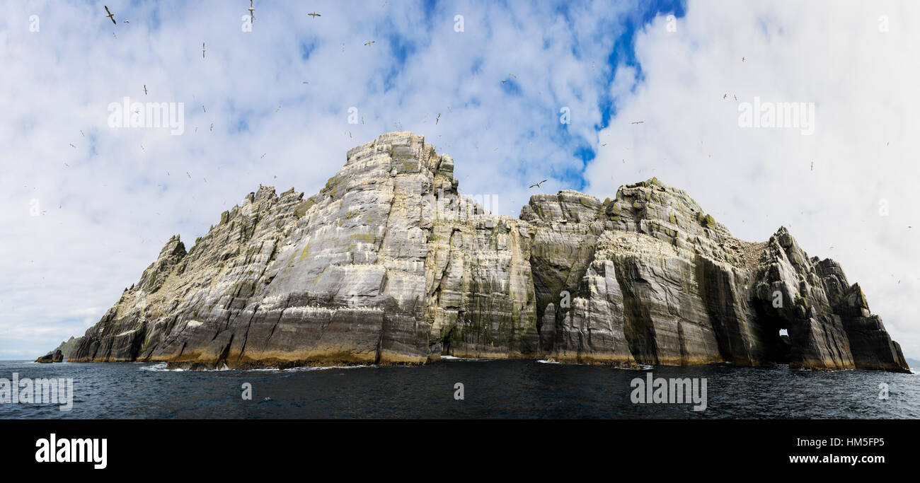 Panorama shot di Little Skellig con la parte settentrionale di sule (Morus Bassanus) colonia, Skelligs island, nella contea di Kerry. L'Irlanda. Foto Stock