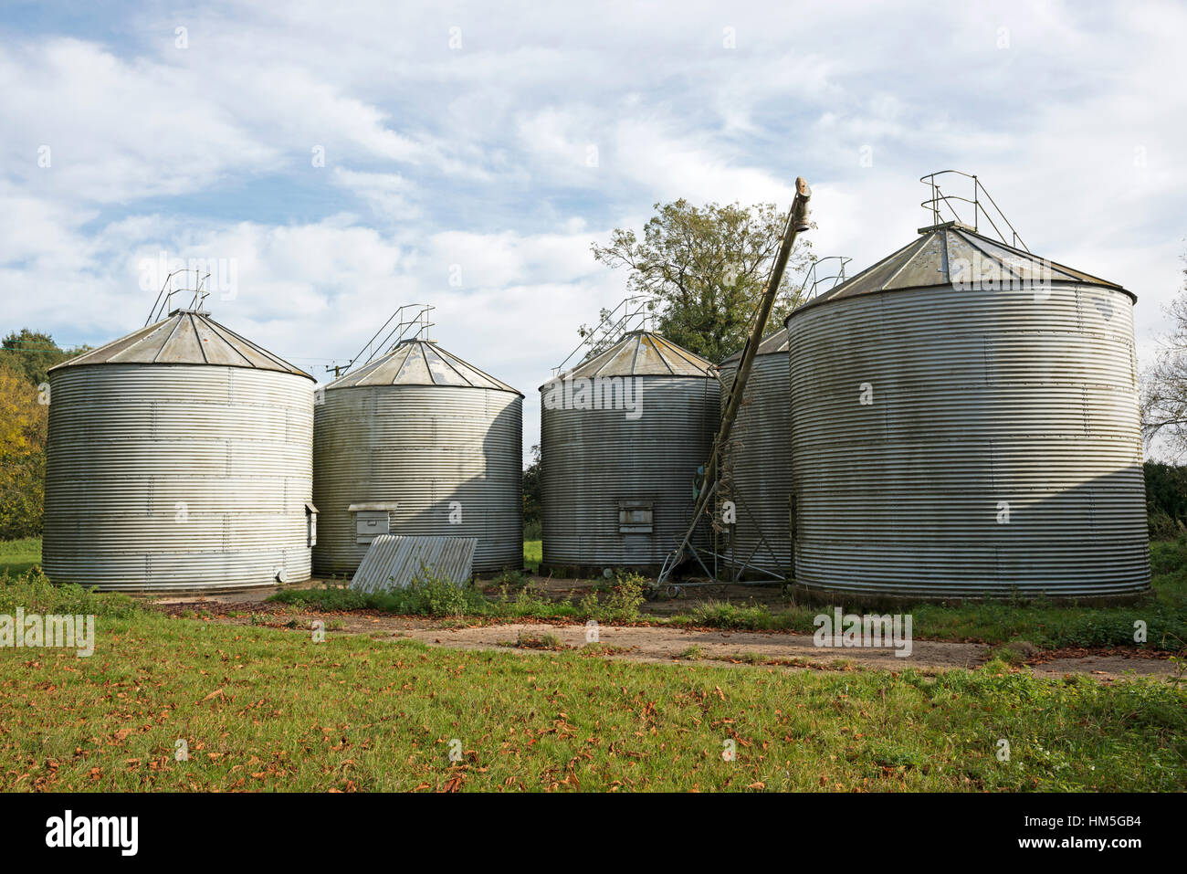 Silos per il grano Shelland Suffolk REGNO UNITO Foto Stock