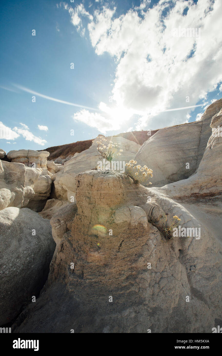 La luce del sole cadere sulla formazione di roccia a miniere di vernice Parco interpretative Foto Stock