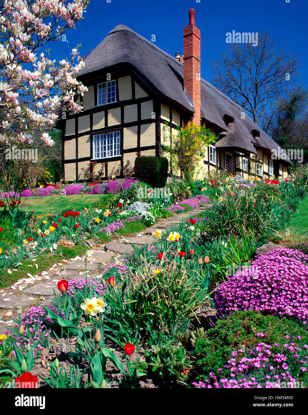 Con tetto in paglia e cottage in legno con fiori di primavera nei pressi di Ledbury, Herefordshire, England, Regno Unito Foto Stock