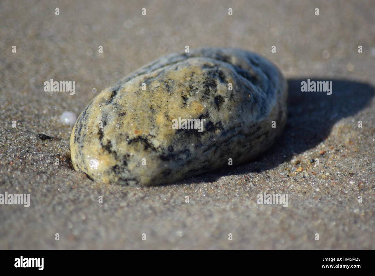 Singola pietra sulla spiaggia Foto Stock