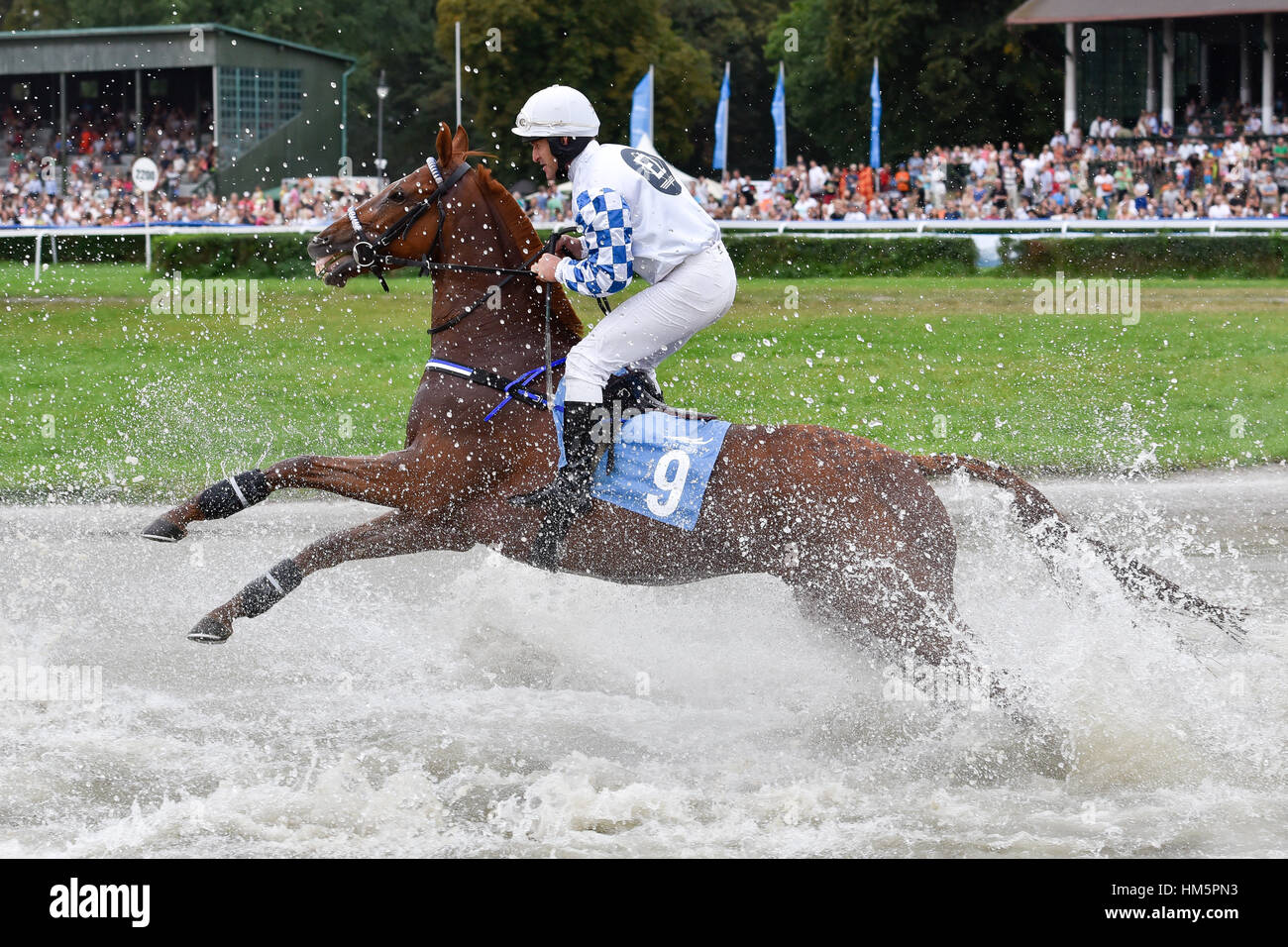 WROCLAW, Polonia - 4 settembre; 2016: Horse Racing - Gran Premio Wroclawska Aeroporto Wroclaw. In azione J. Kousek sul cavallo Larizano. Foto Stock