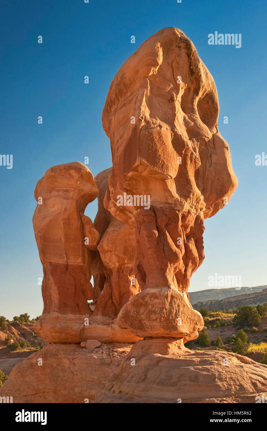 Hoodoos al Giardino del Diavolo a grande scala Escalante National Monument, Colorado Plateau, Utah, Stati Uniti d'America Foto Stock