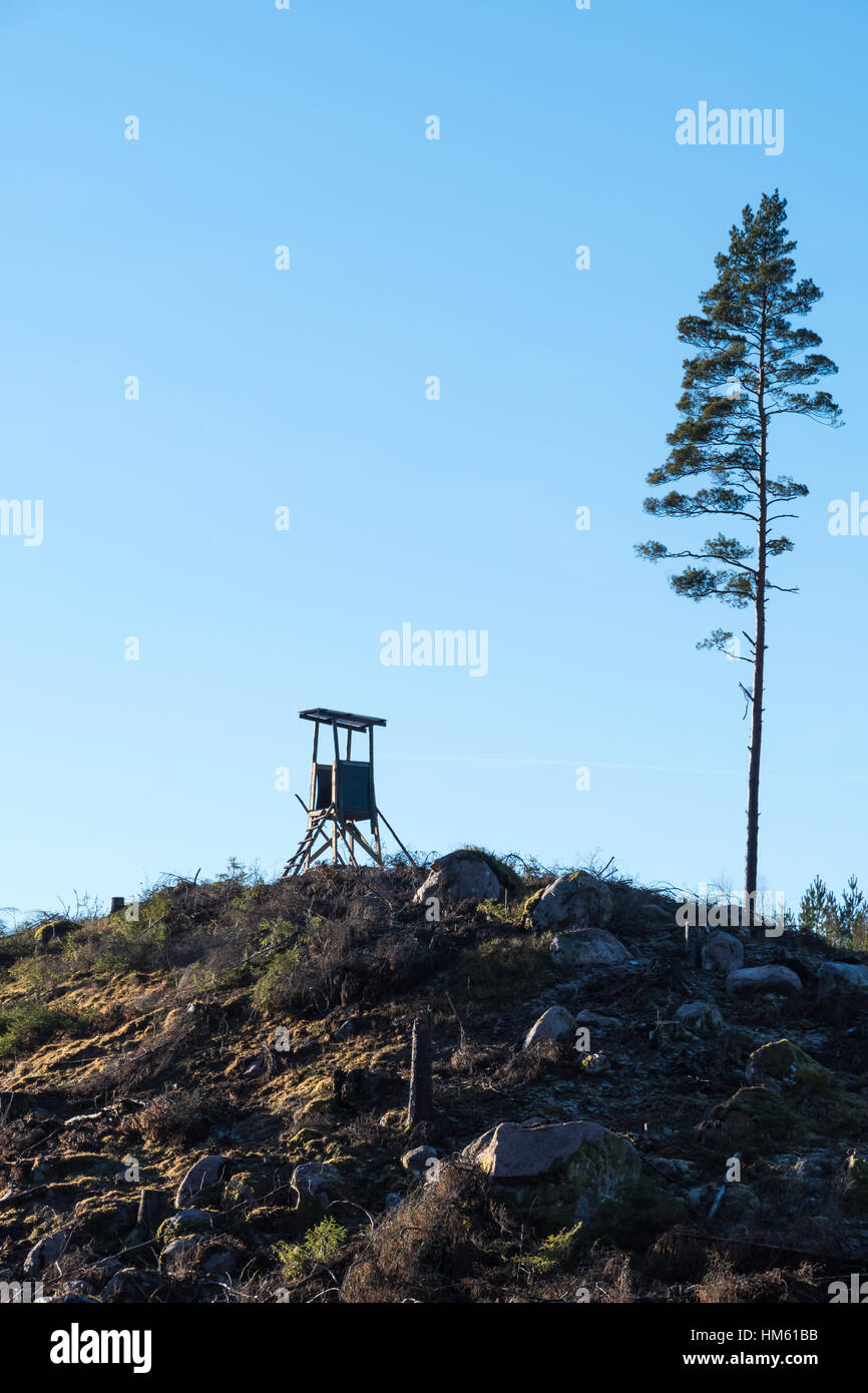 La torre della caccia sulla cima di una collina in un chiaro taglio area di foresta Foto Stock