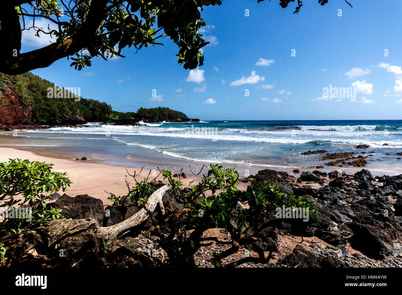 Spiaggia hawaiana Foto Stock