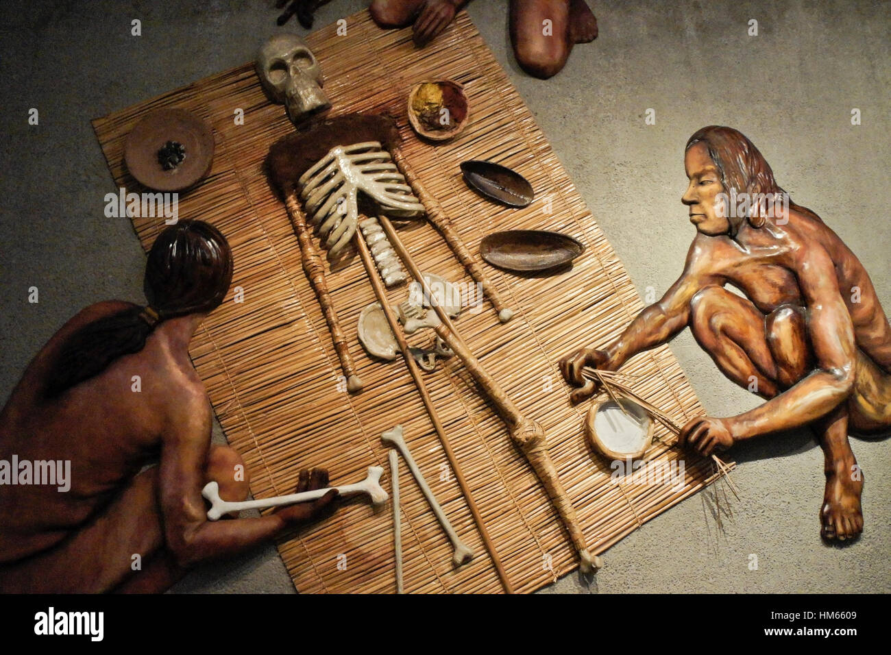 Mostrare che mostra artificiale processo di mummificazione per mummie Chinchorro, San Miguel de Azapa Museo Archeologico, Arica, Cile Foto Stock