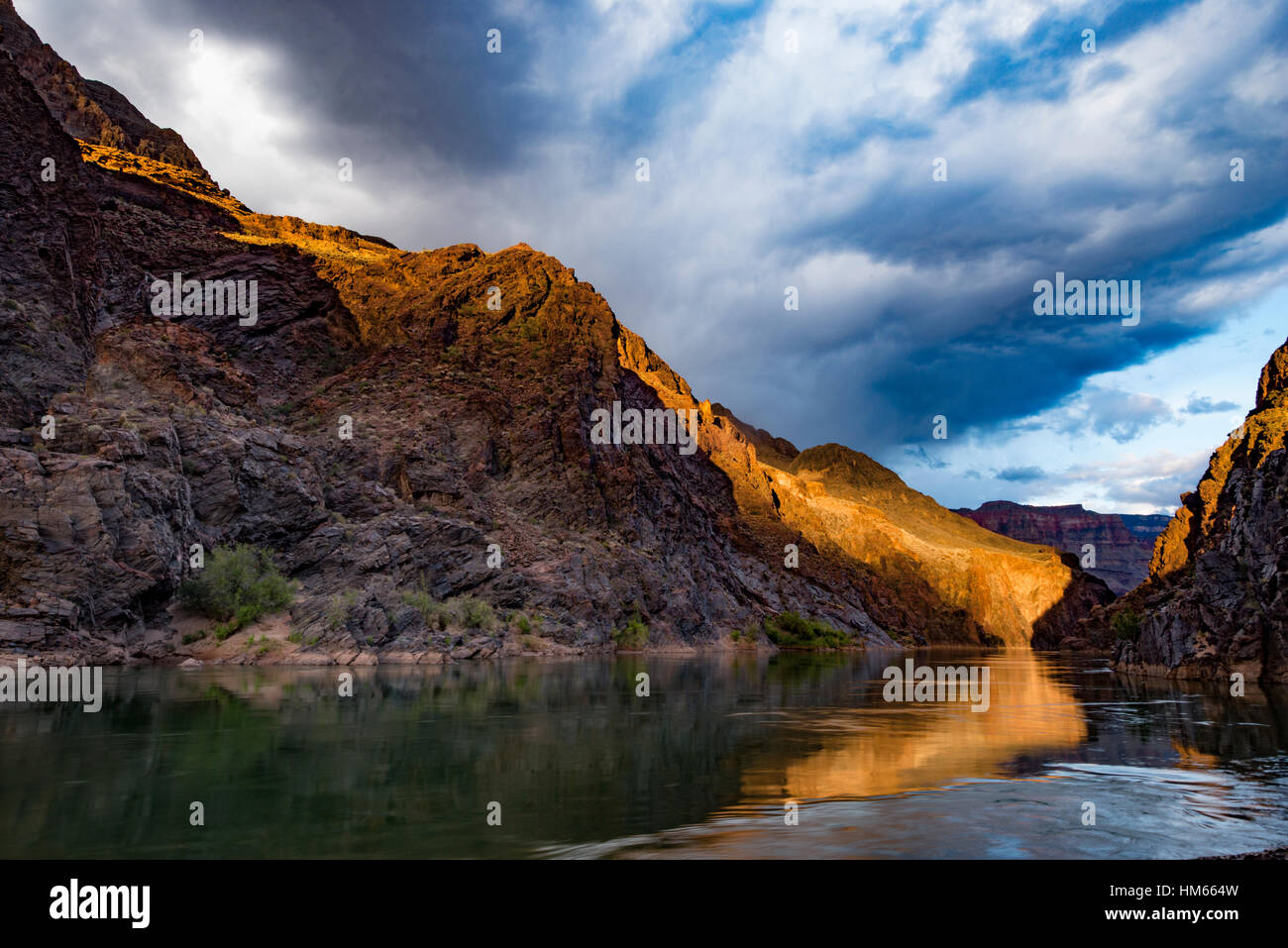 Fiume riflessioni a medio Granite Gorge, il Parco Nazionale del Grand Canyon, Arizona Foto Stock