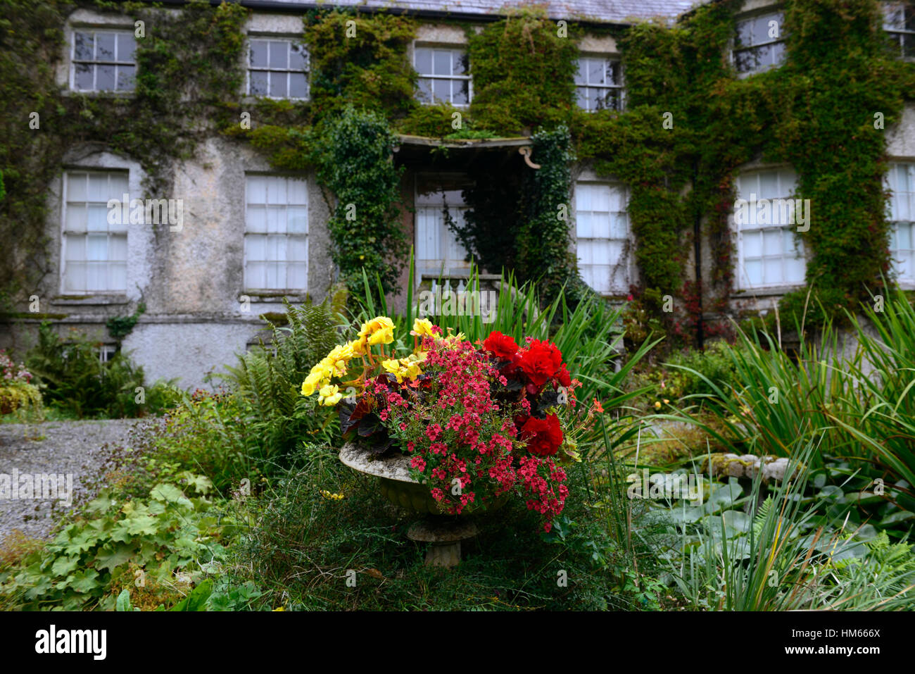 Altamont gardens Carlow Corona North house urna letto display di confine fiore fiori piante di gara snowdrop famoso giardino floreale RM Foto Stock