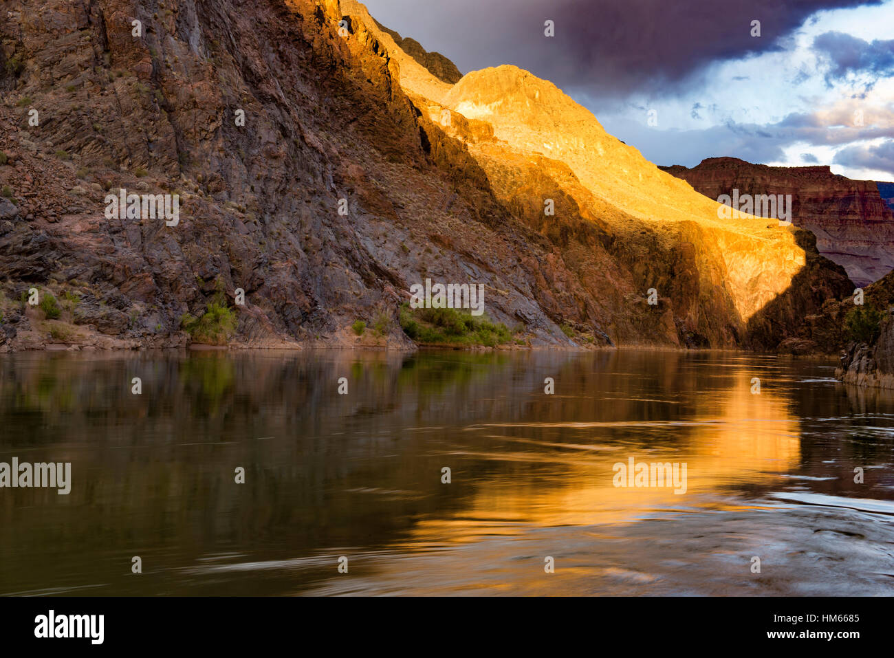 Fiume riflessioni a medio Granite Gorge, il Parco Nazionale del Grand Canyon, Arizona Foto Stock