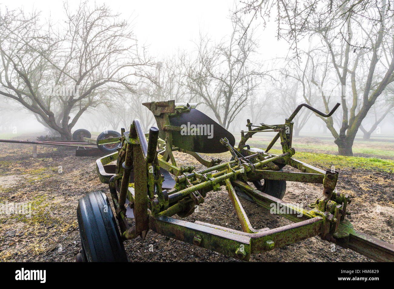 Antica fattoria di attrezzi su una mandorla fattoria in California la Valle Centrale su una mattinata nebbiosa nell'inverno del 2017 Foto Stock