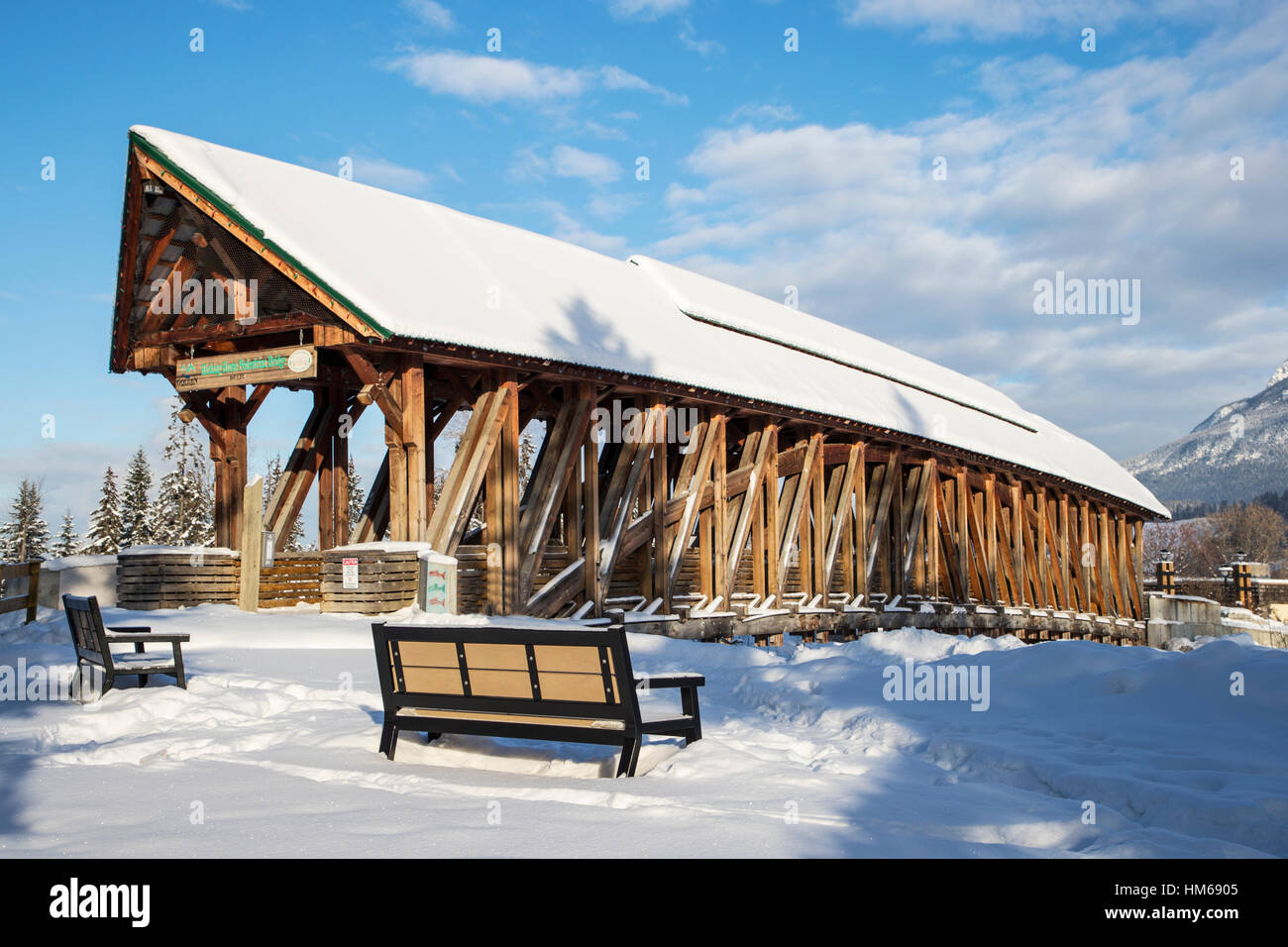 Kicking Horse ponte pedonale oltre il Fiume Kicking Horse; GOLDEN; British Columbia; Canada Foto Stock