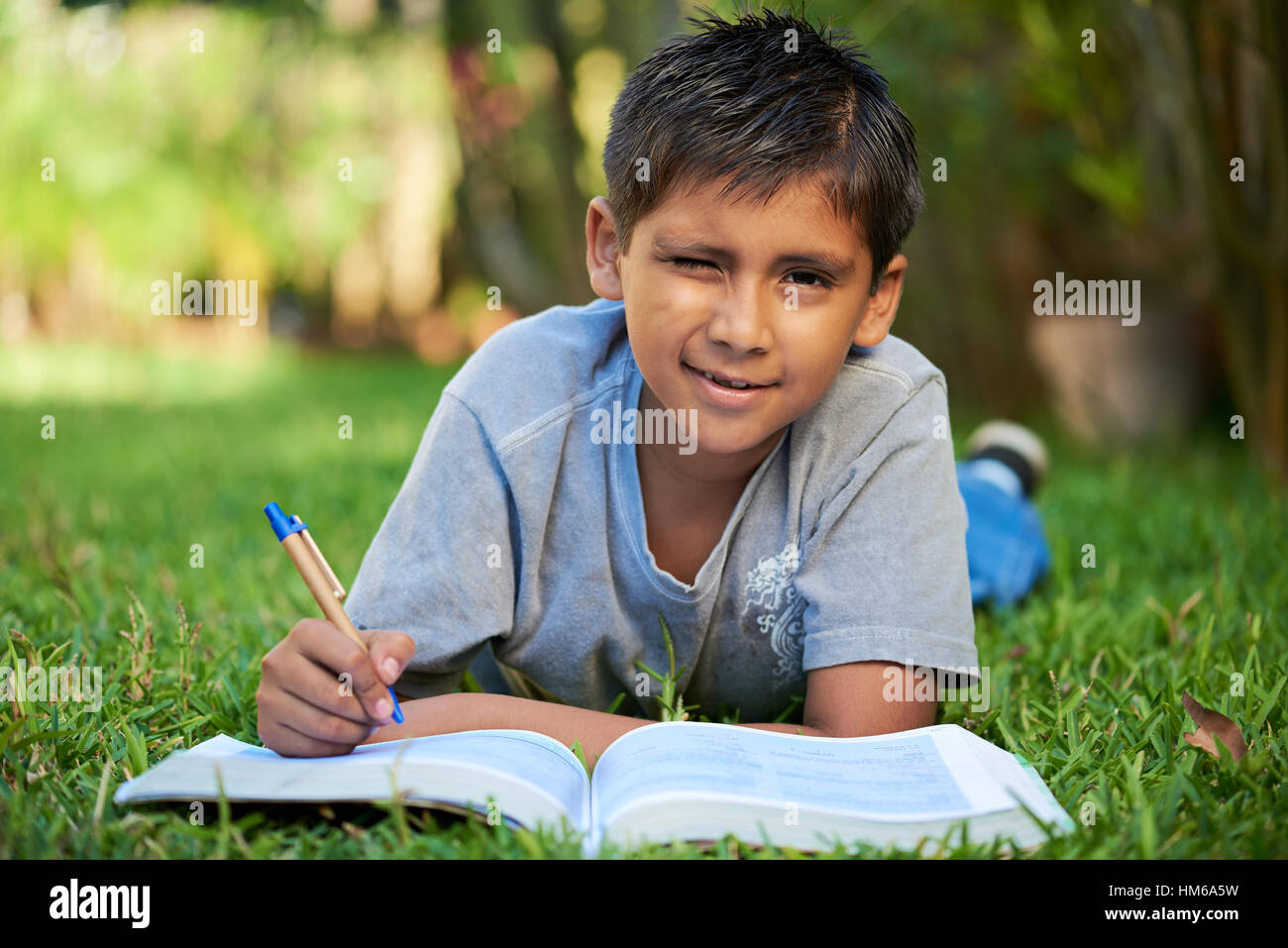 Piccolo Ragazzo studiando con libro giaceva su erba verde Foto Stock