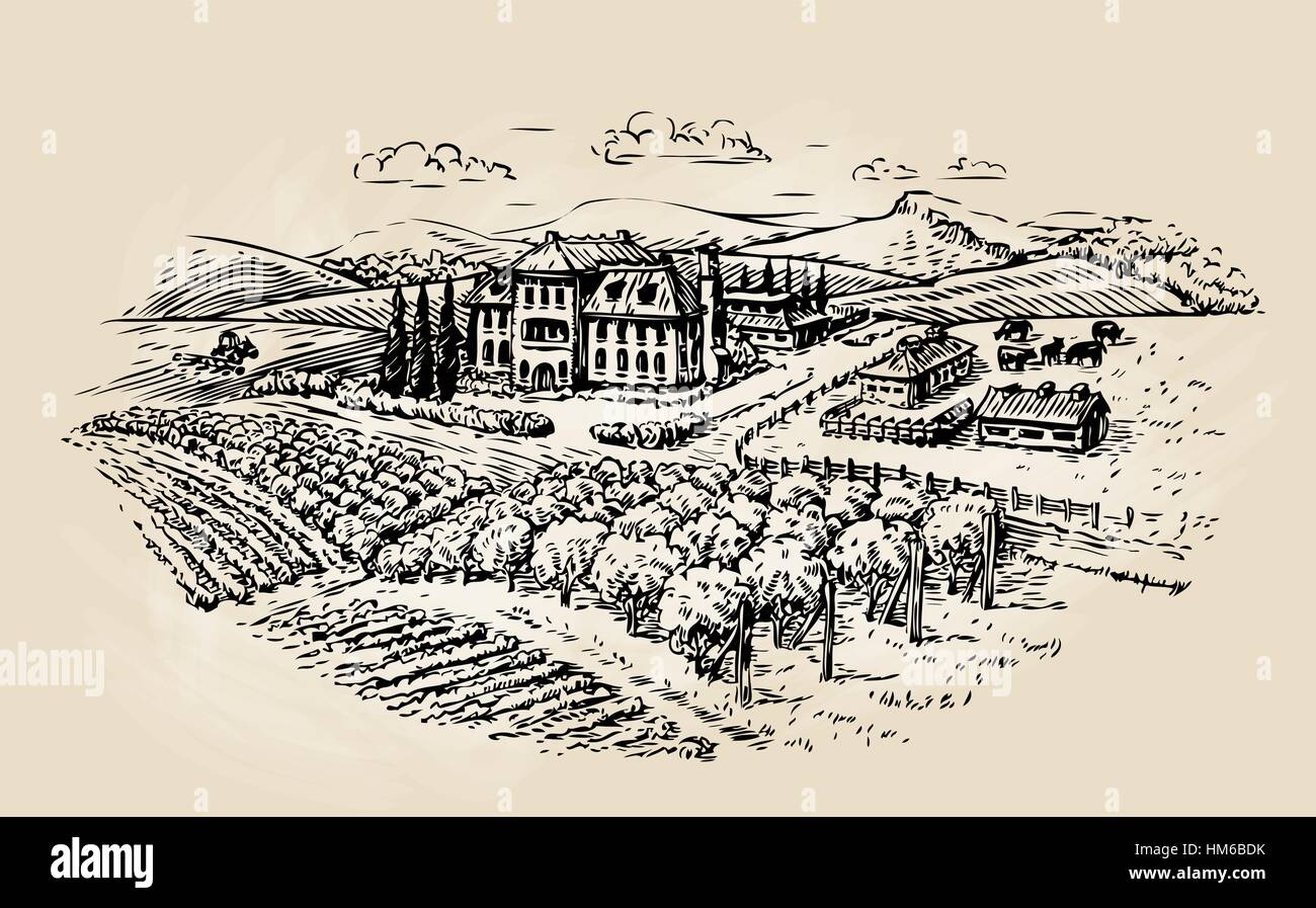 Schizzo di fattoria. Agricoltura, vigna. Illustrazione Vettoriale Illustrazione Vettoriale