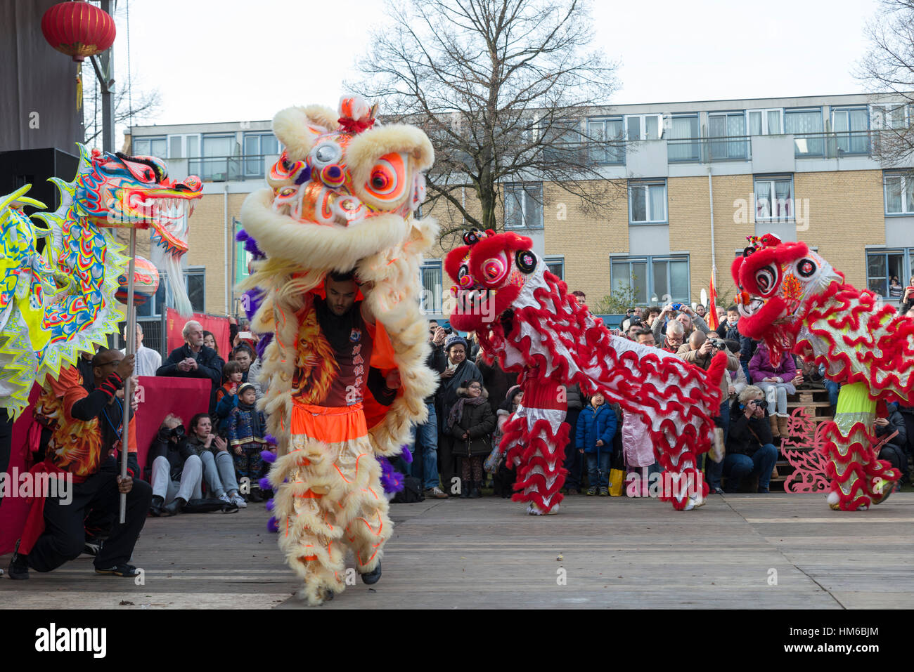 ROTTERDAM, OLANDA - 28 gennaio 2016: la danza del Leone di dimostrazione di apertura durante la celebrazione del capodanno cinese di Rotterdam il 28 gennaio 2017, questa vigilia Foto Stock
