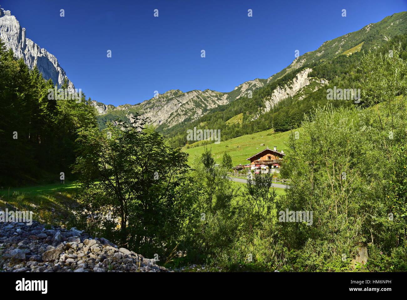 Kaiserbachtal (valle) con Fischbachalm (ALP) Foto Stock