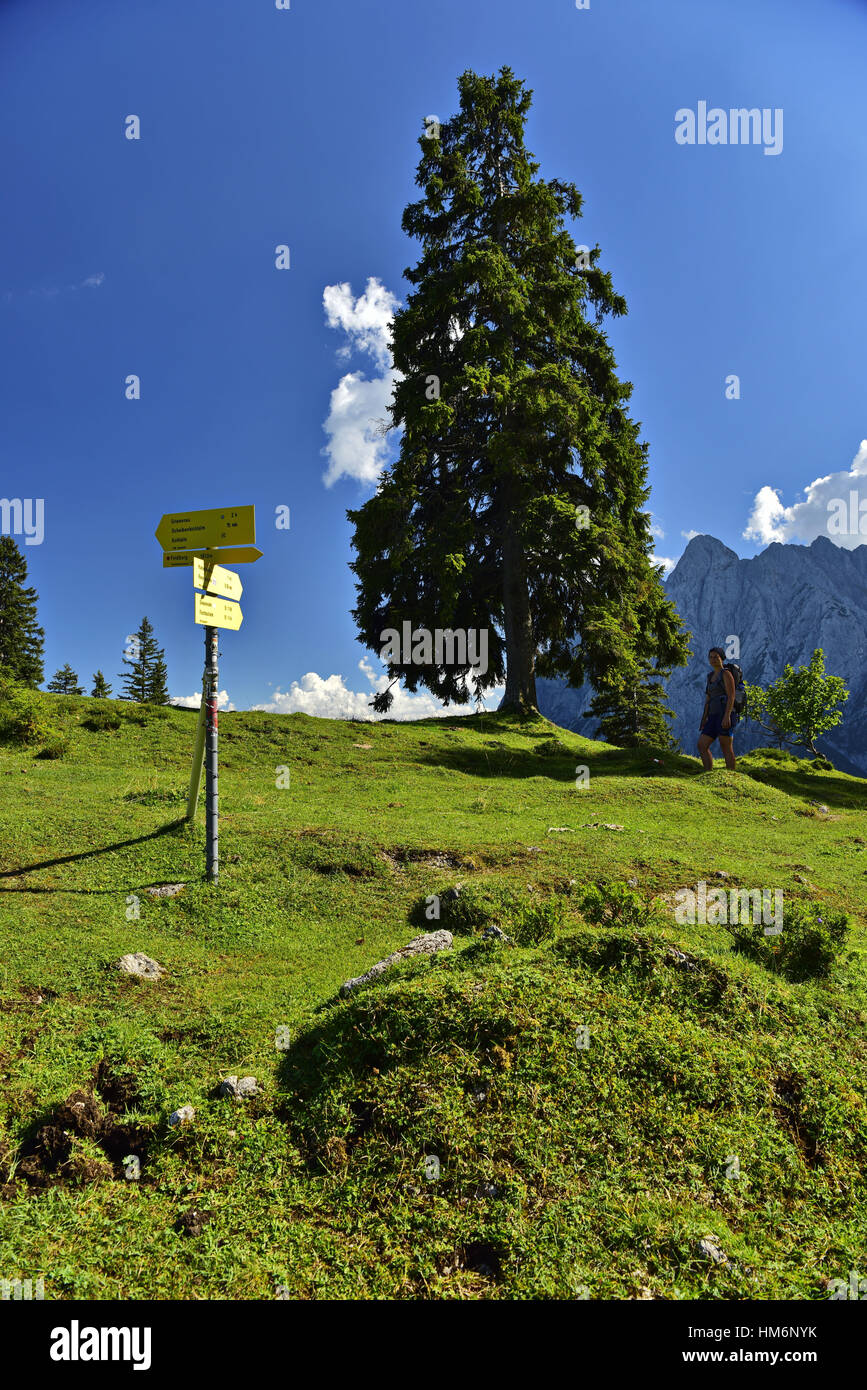 Modo di Ranggenalm (ALP) da Scheibenbühelberg (montagna) Foto Stock