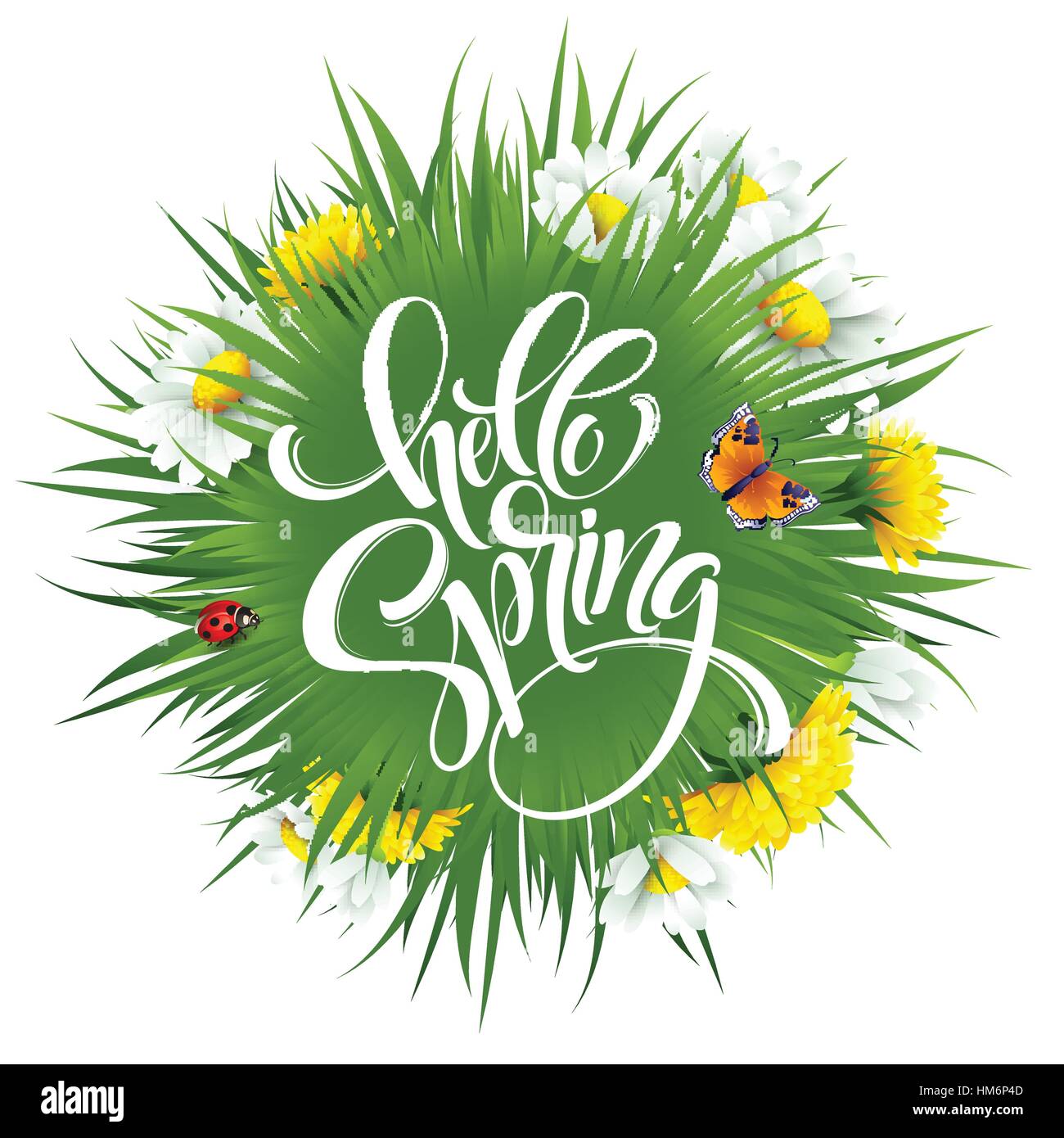 Iscrizione Ciao molla scritte a mano sullo sfondo con fiori. Illustrazione Vettoriale Illustrazione Vettoriale